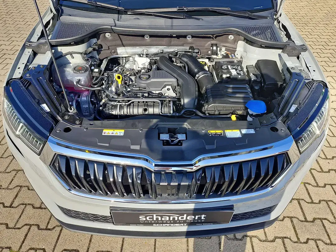 Skoda Karoq 1.5 TSI DSG - Thumbnail 14