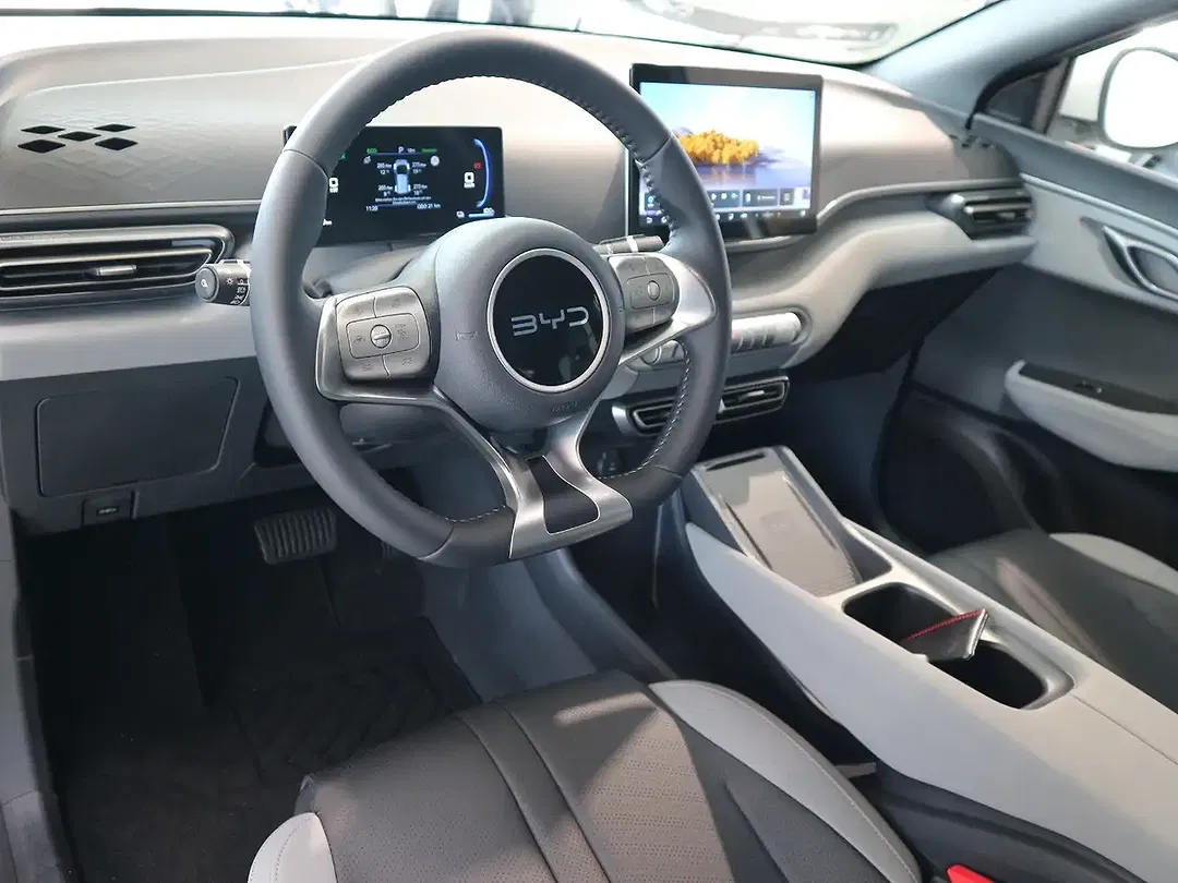 BYD Dolphin Surf Comfort - Thumbnail 17