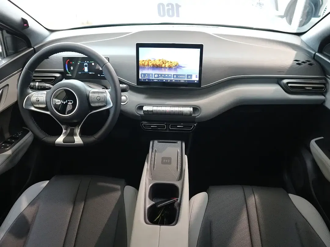 BYD Dolphin Surf Comfort - Thumbnail 18