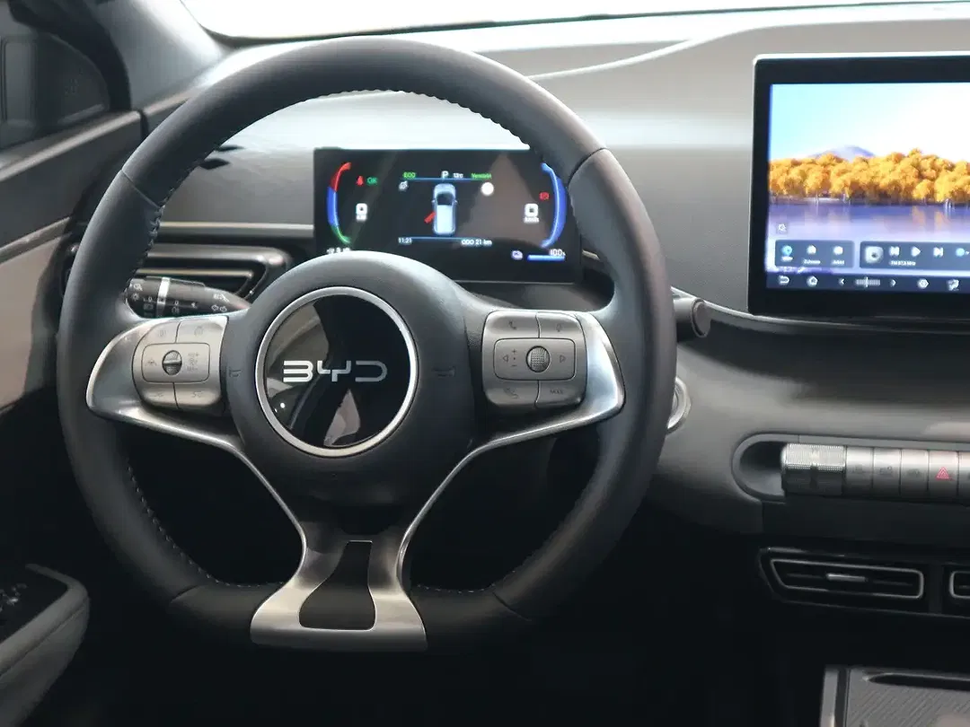 BYD Dolphin Surf Comfort - Thumbnail 19