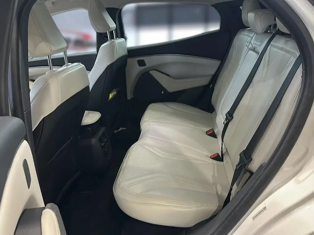 Ford Mustang 4x4 - Thumbnail 10