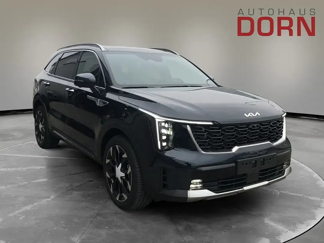 Kia Sorento 2.2 DCT AWD Platinum - Thumbnail 4