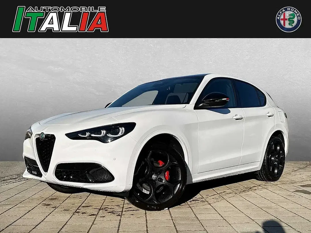 Alfa Romeo Stelvio 2.0 Turbo Q4 Tributo Italiano - Afbeelding 1