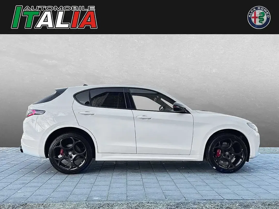 Alfa Romeo Stelvio 2.0 Turbo Q4 Tributo Italiano - Thumbnail 3