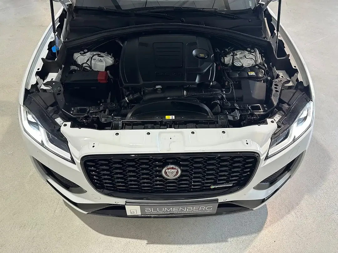 Jaguar F-Pace 4x4 R-Dynamic S - Thumbnail 11
