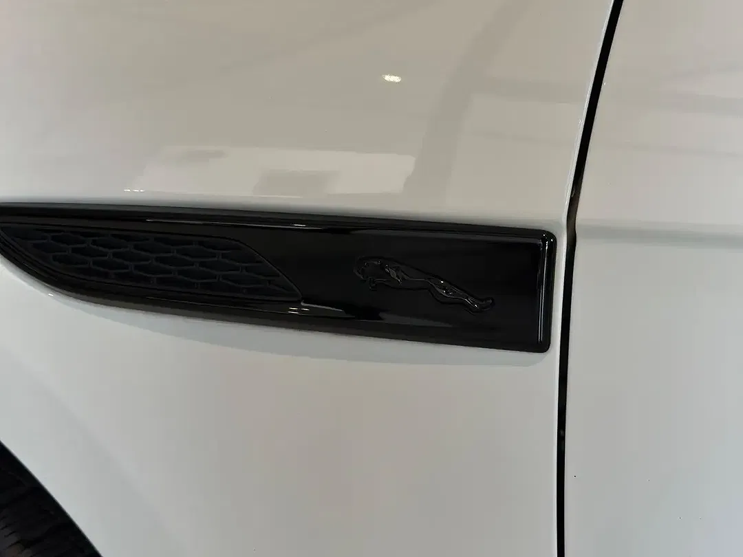 Jaguar F-Pace 4x4 R-Dynamic S - Thumbnail 9