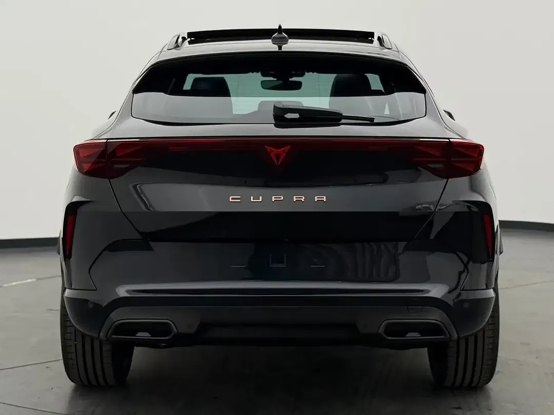 CUPRA Formentor 2.0 TSI 4Drive Matrix LED - Thumbnail 10
