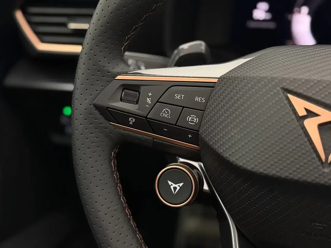 CUPRA Formentor 2.0 TSI 4Drive Matrix LED - Thumbnail 38