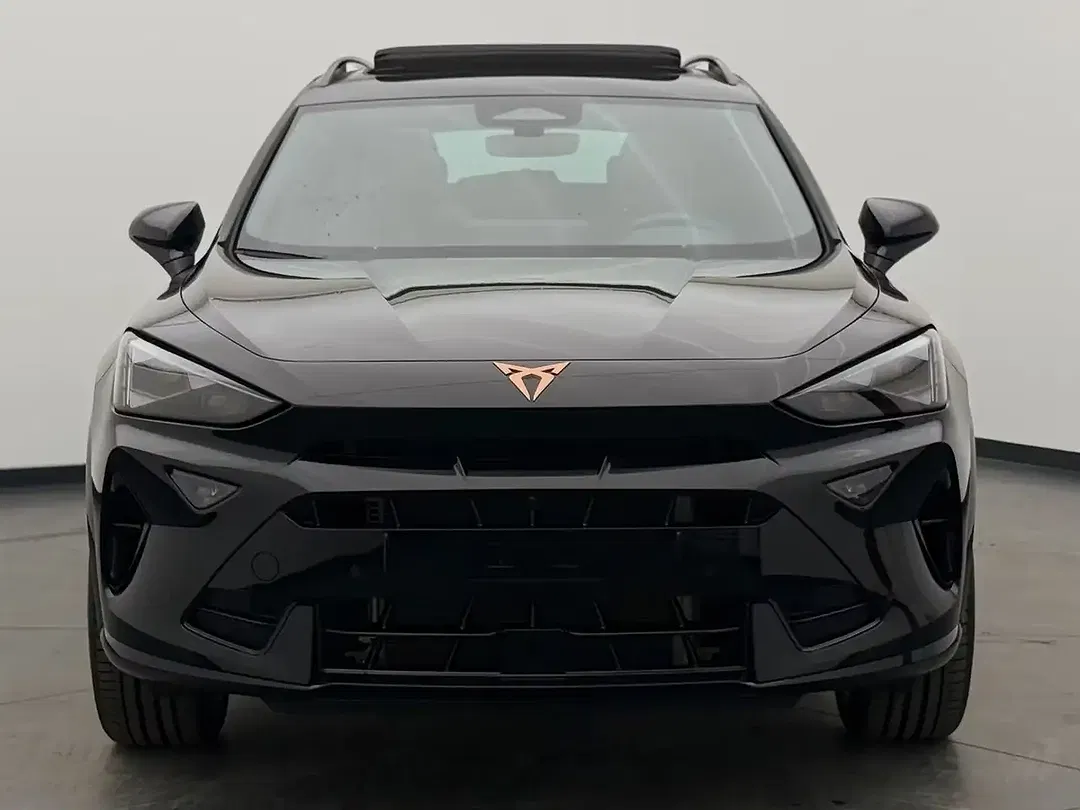 CUPRA Formentor 2.0 TSI 4Drive Matrix LED - Thumbnail 3