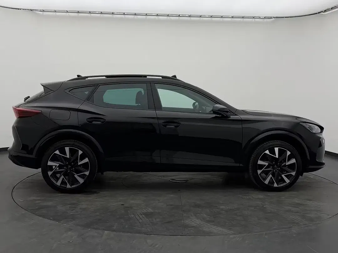 CUPRA Formentor 2.0 TSI 4Drive Matrix LED - Thumbnail 7