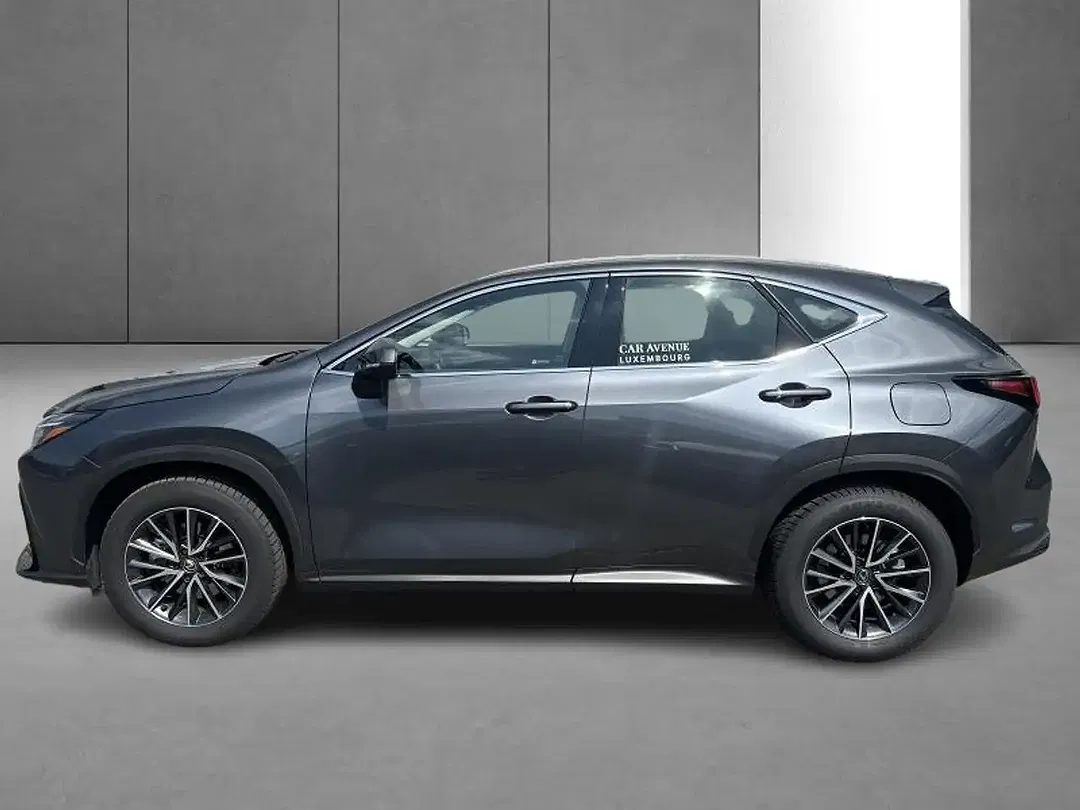 Lexus NX 350h Business Line - Thumbnail 3