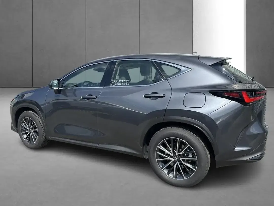 Lexus NX 350h Business Line - Thumbnail 7
