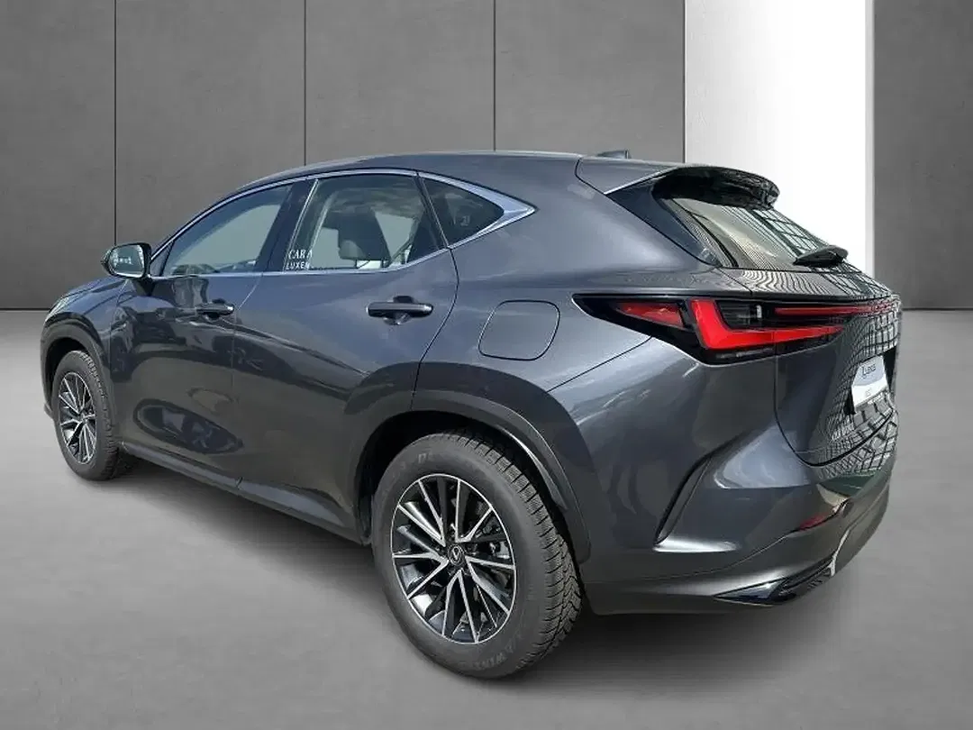 Lexus NX 350h Business Line - Thumbnail 8