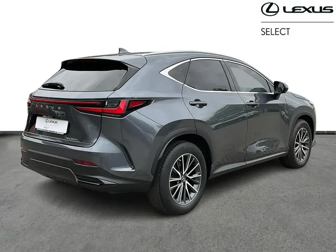 Lexus NX 350h Executive Line - Thumbnail 15