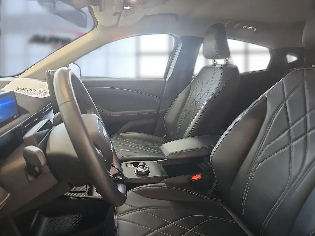 Ford Mustang - Thumbnail 12