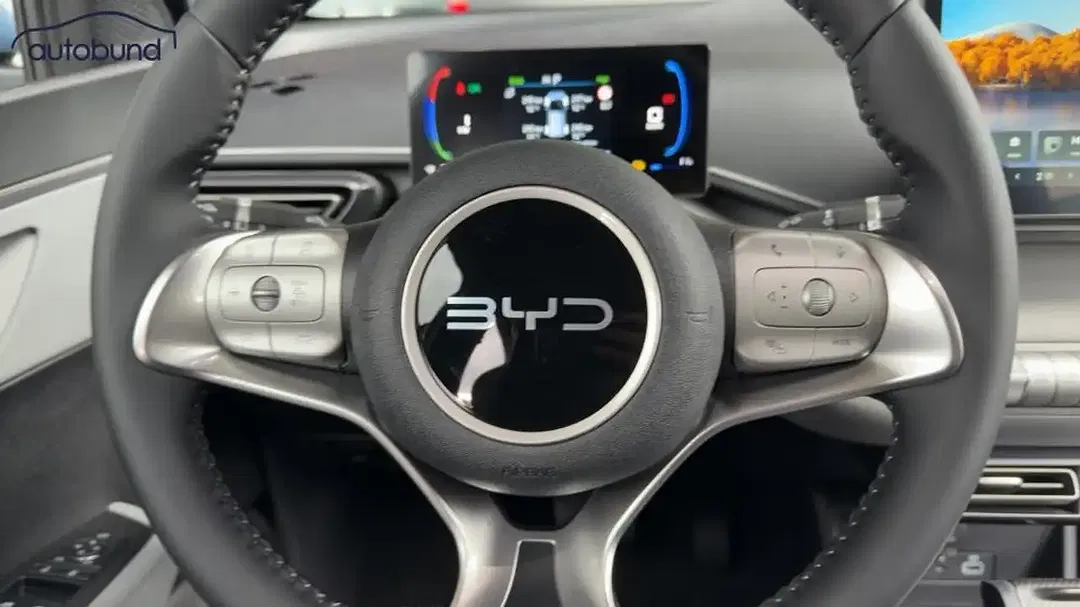 BYD Dolphin Surf Comfort - Thumbnail 10