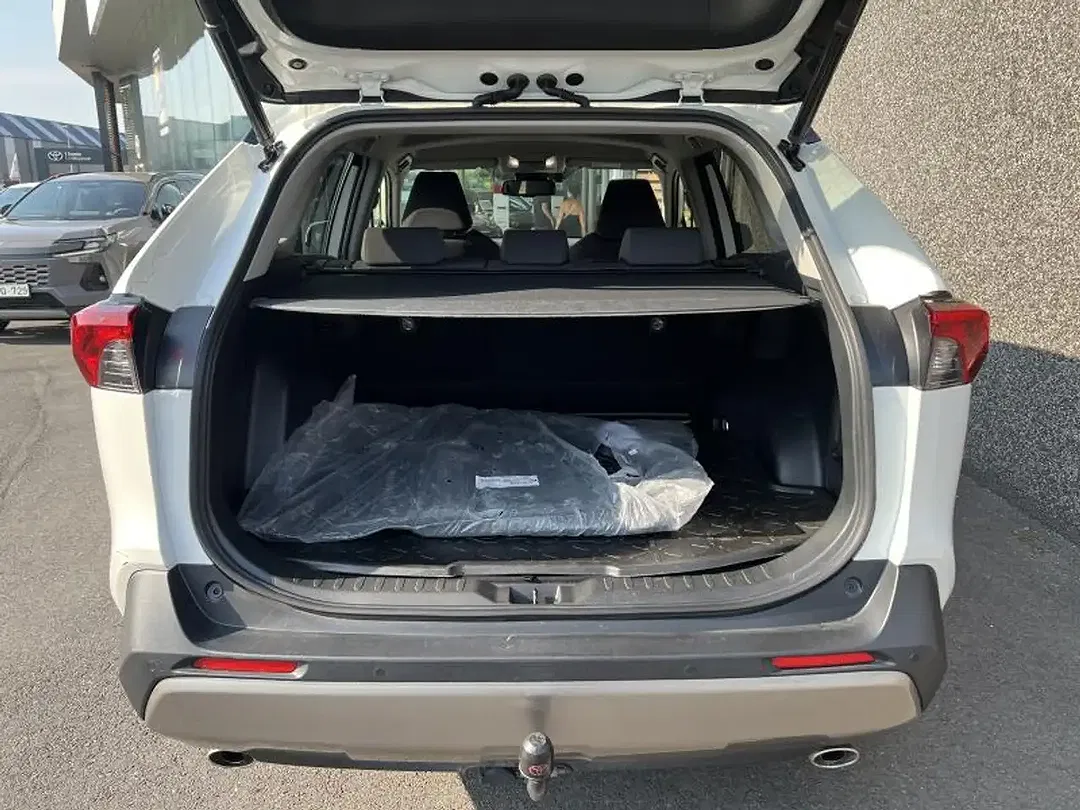 Toyota RAV 4 Hybrid 4x4 Plus - Thumbnail 8