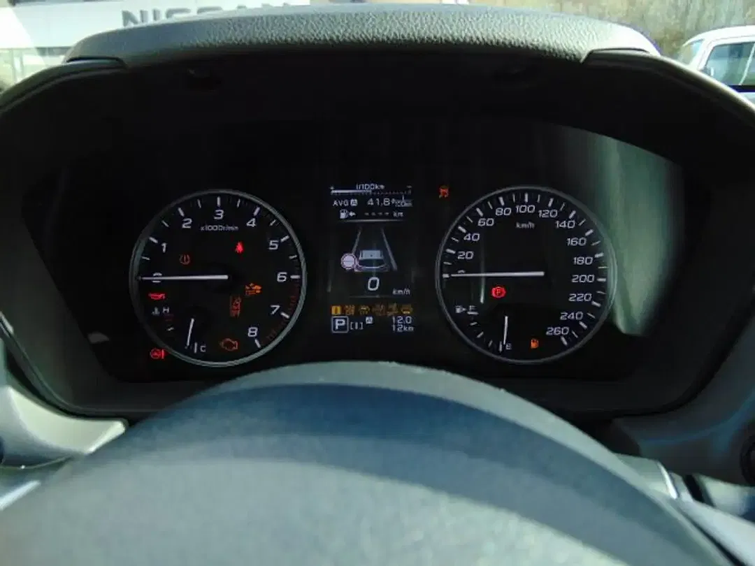 Subaru Crosstrek 2.0 e-Boxer Platinum - Thumbnail 12