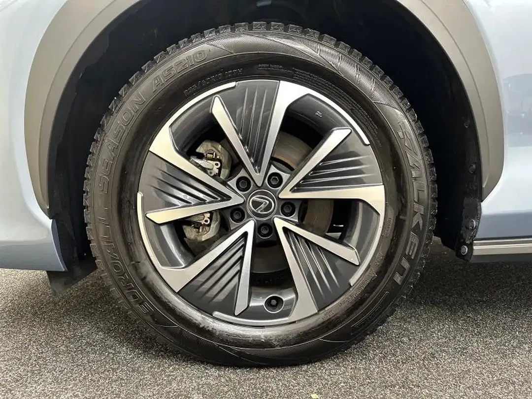 Lexus RZ Executive - foto 15