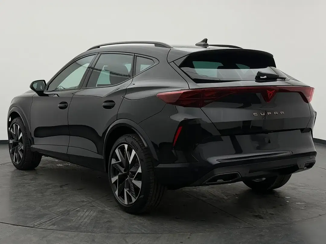 CUPRA Formentor 2.0 TSI 4Drive Matrix LED - Thumbnail 9