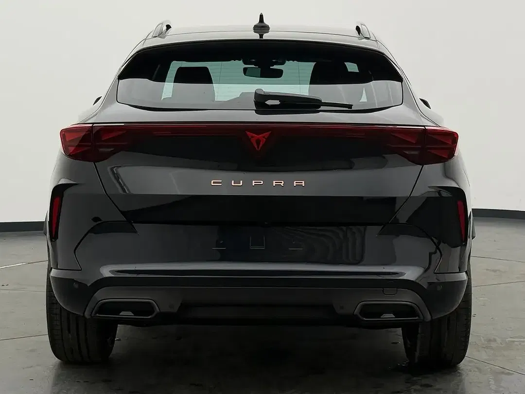 CUPRA Formentor 2.0 TSI 4Drive Matrix LED - Thumbnail 10