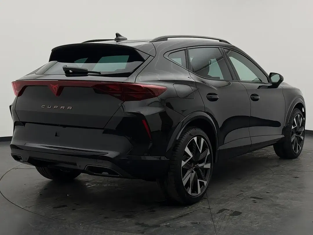 CUPRA Formentor 2.0 TSI 4Drive Matrix LED - Thumbnail 11