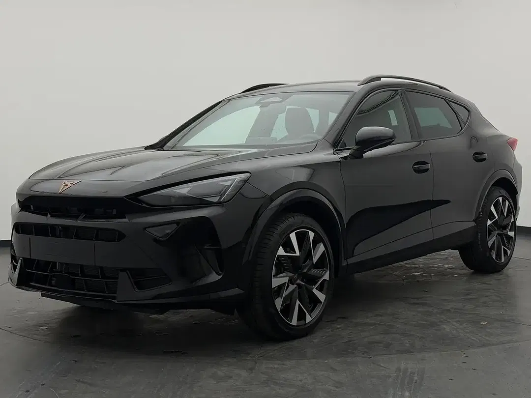 CUPRA Formentor 2.0 TSI 4Drive Matrix LED - Thumbnail 13