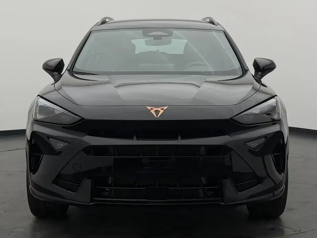 CUPRA Formentor 2.0 TSI 4Drive Matrix LED - Thumbnail 3