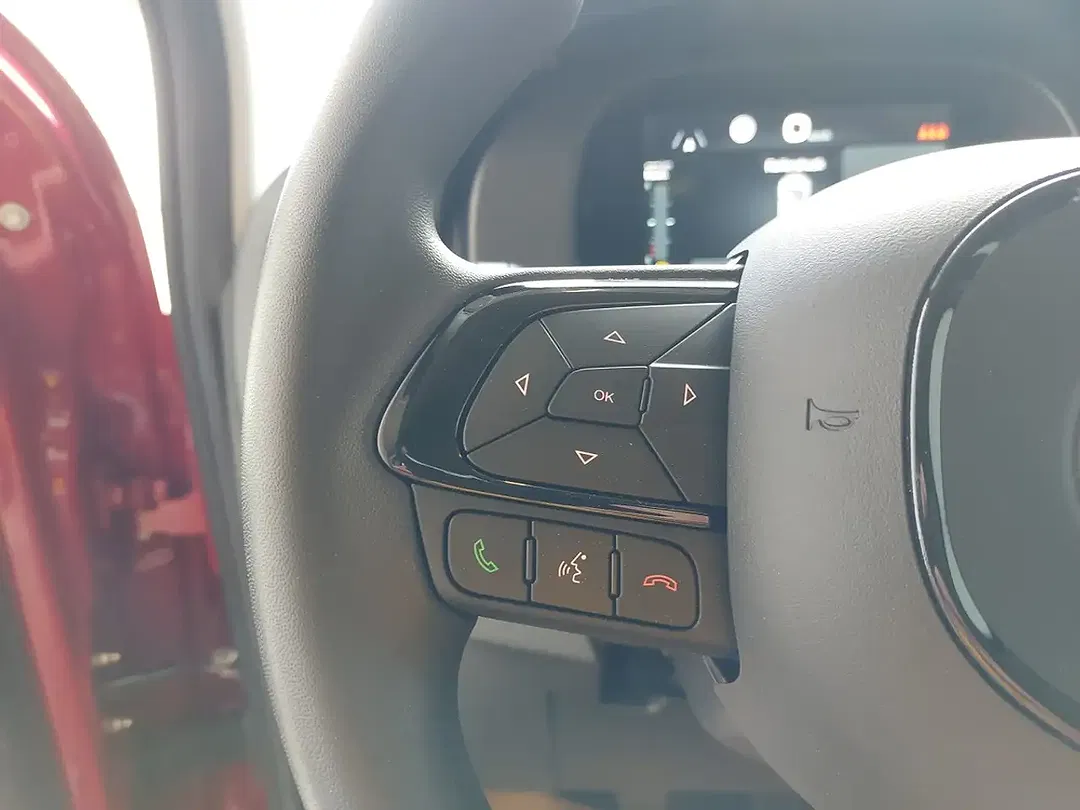 Fiat Panda Icon - foto 15