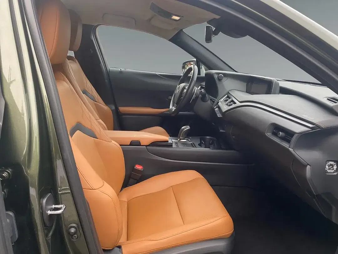 Lexus UX 300e Luxury - Thumbnail 16