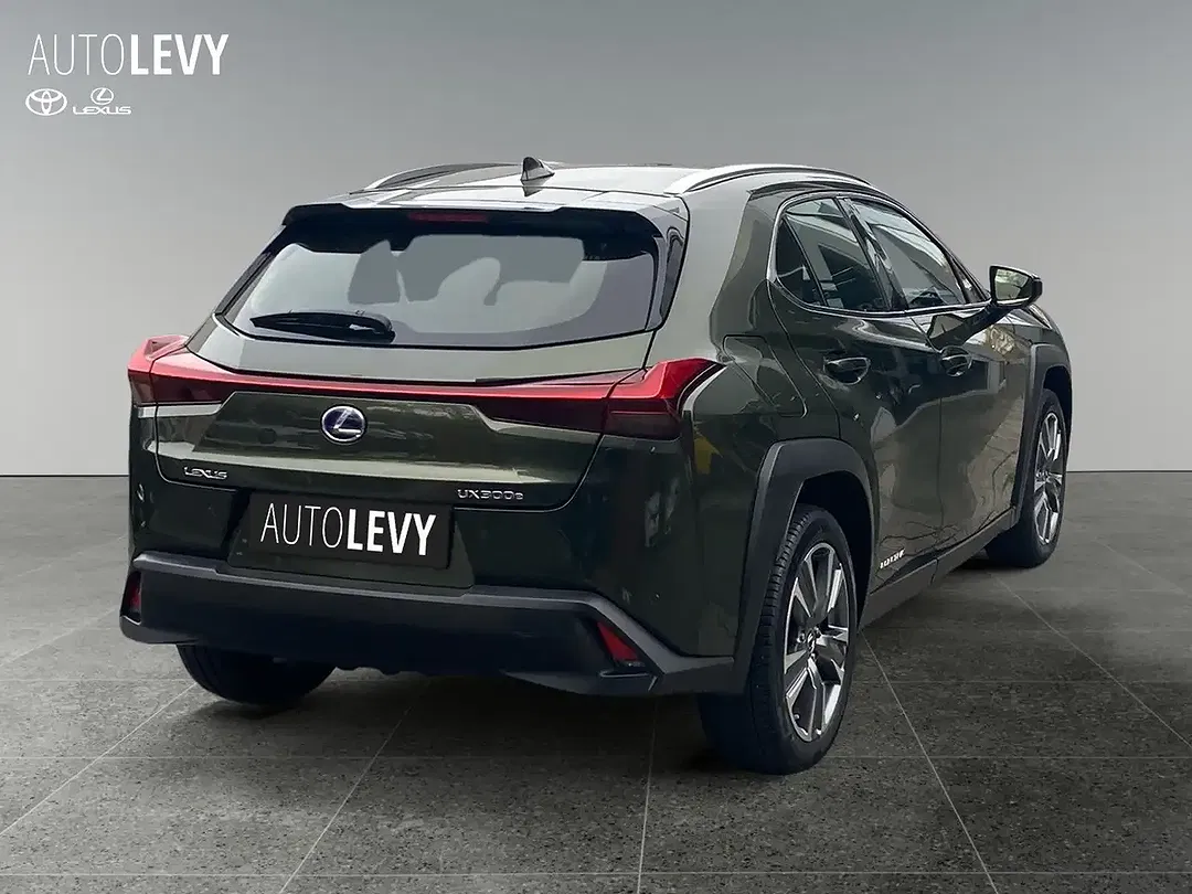 Lexus UX 300e Luxury - Thumbnail 6