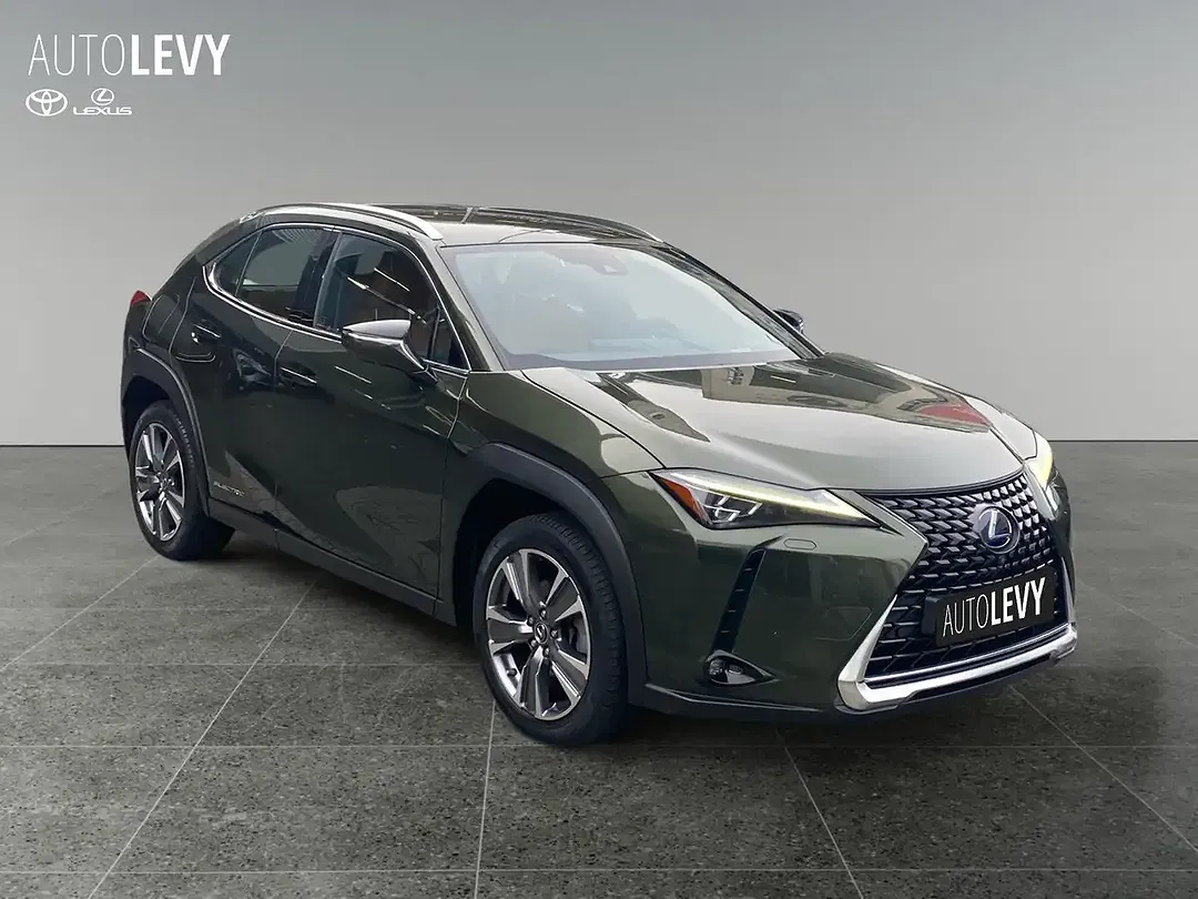 Lexus UX 300e Luxury - Thumbnail 8