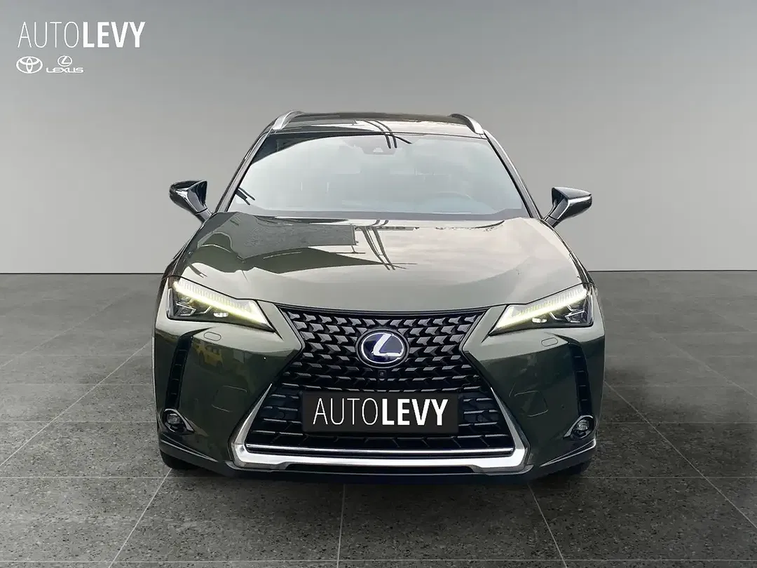Lexus UX 300e Luxury - Thumbnail 9