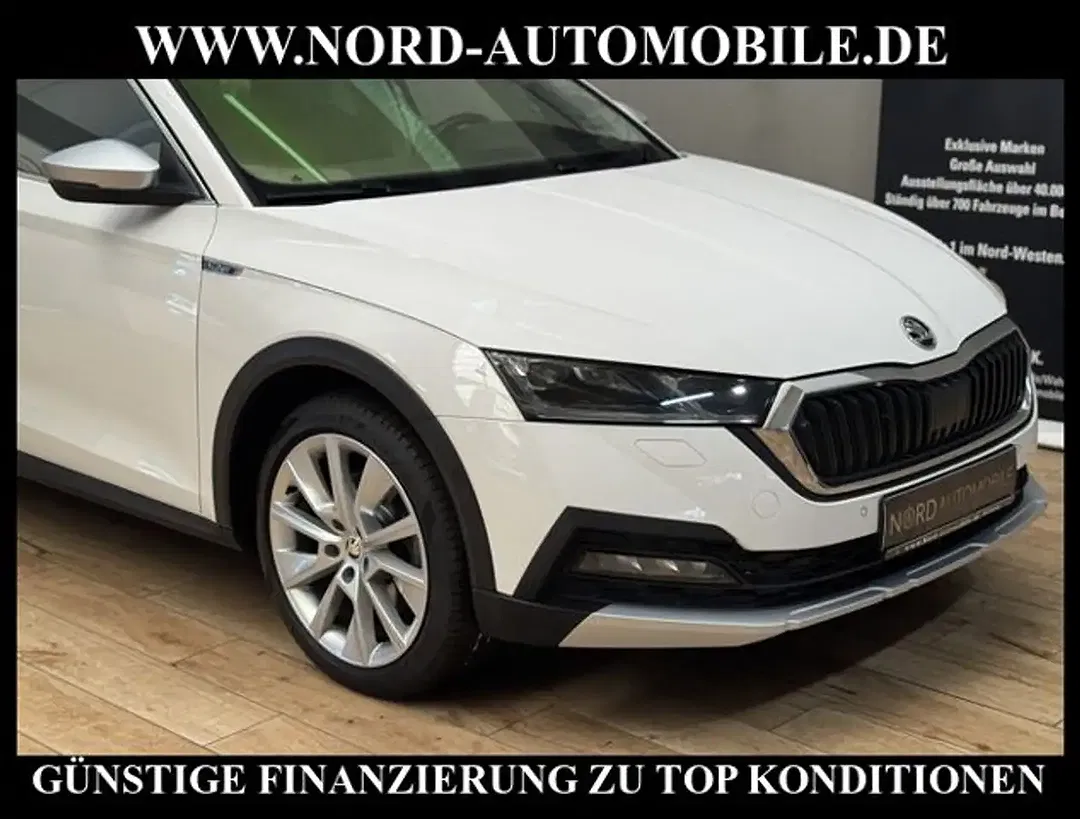 Skoda Octavia 2.0 TDI DSG 4x4 Combi Scout - Thumbnail 10