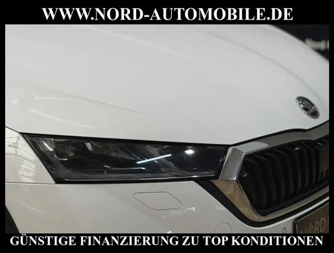 Skoda Octavia 2.0 TDI DSG 4x4 Combi Scout - Thumbnail 11