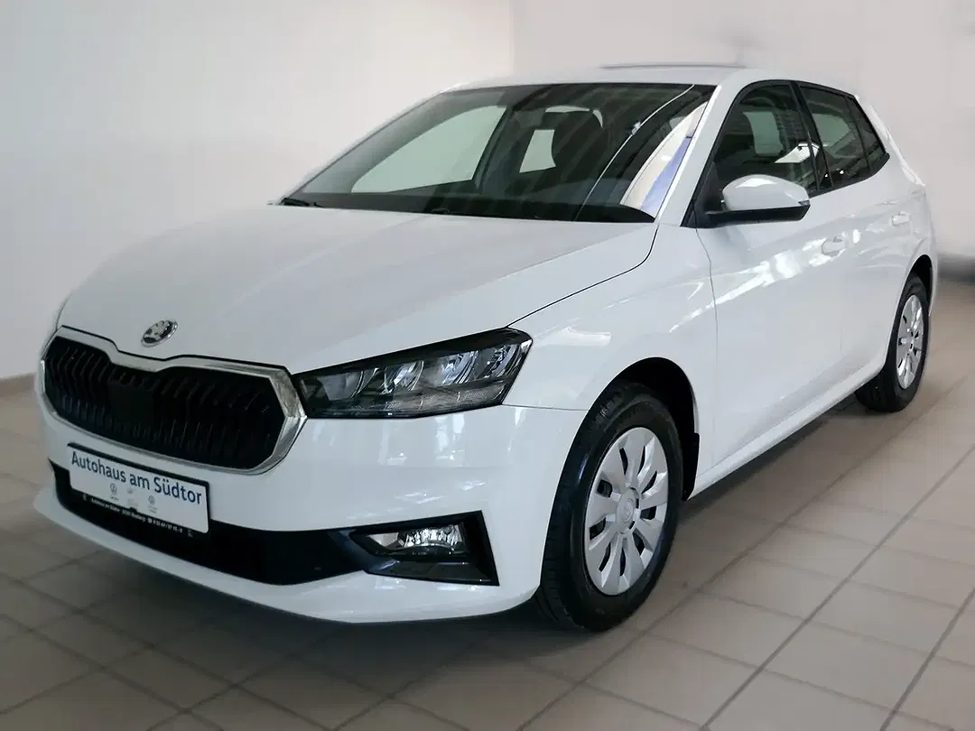 Skoda Fabia 1.0 TSI Selection - Thumbnail 1