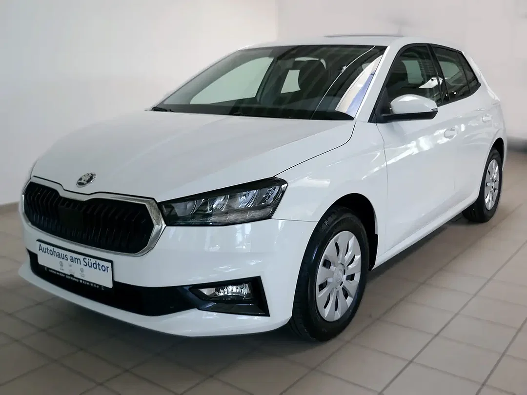 Skoda Fabia 1.0 TSI Selection - Afbeelding 1