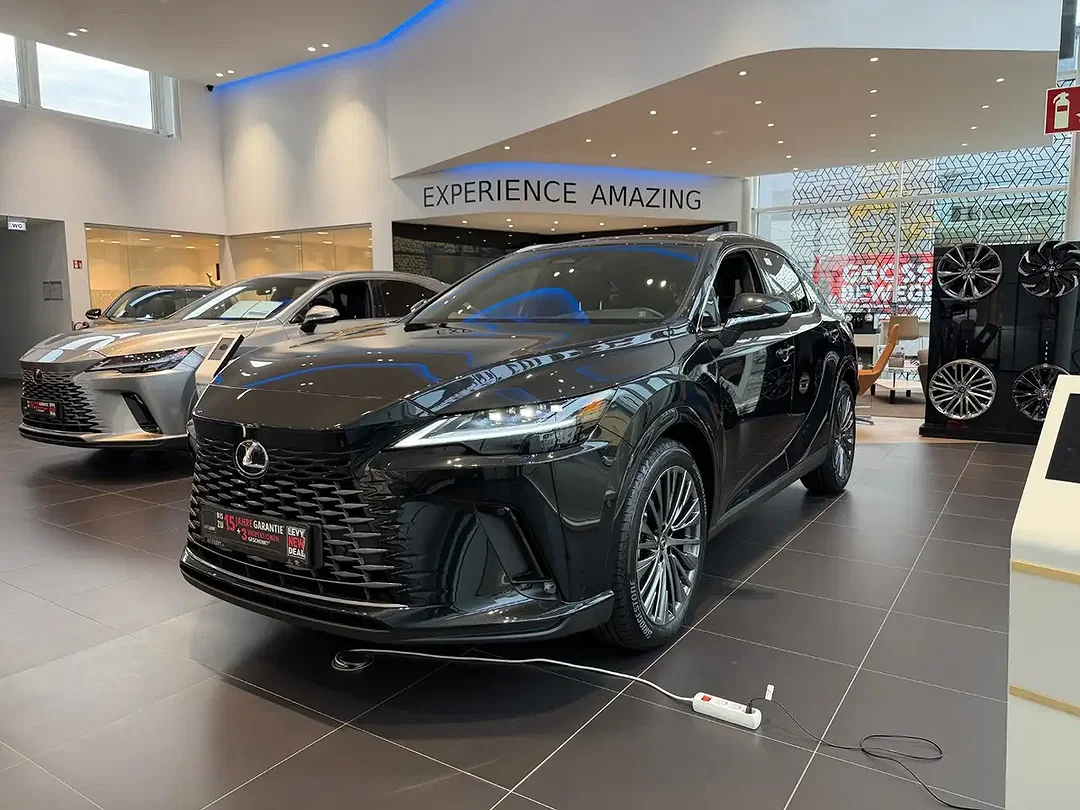 Lexus RX 450h PHEV - Afbeelding 1