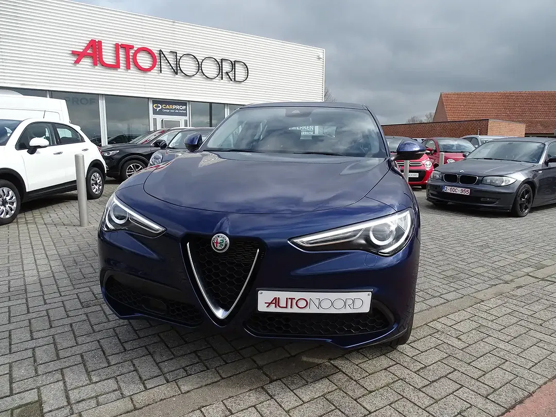 Alfa Romeo Stelvio 2.0 4x4 Super - foto 15