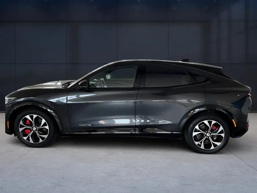 Ford Mustang Extended Range 4x4 - Thumbnail 3