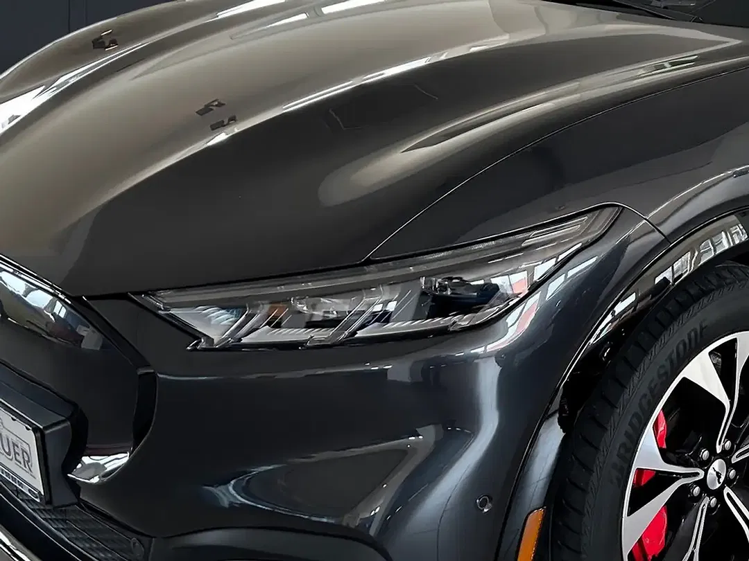 Ford Mustang Extended Range 4x4 - Thumbnail 6