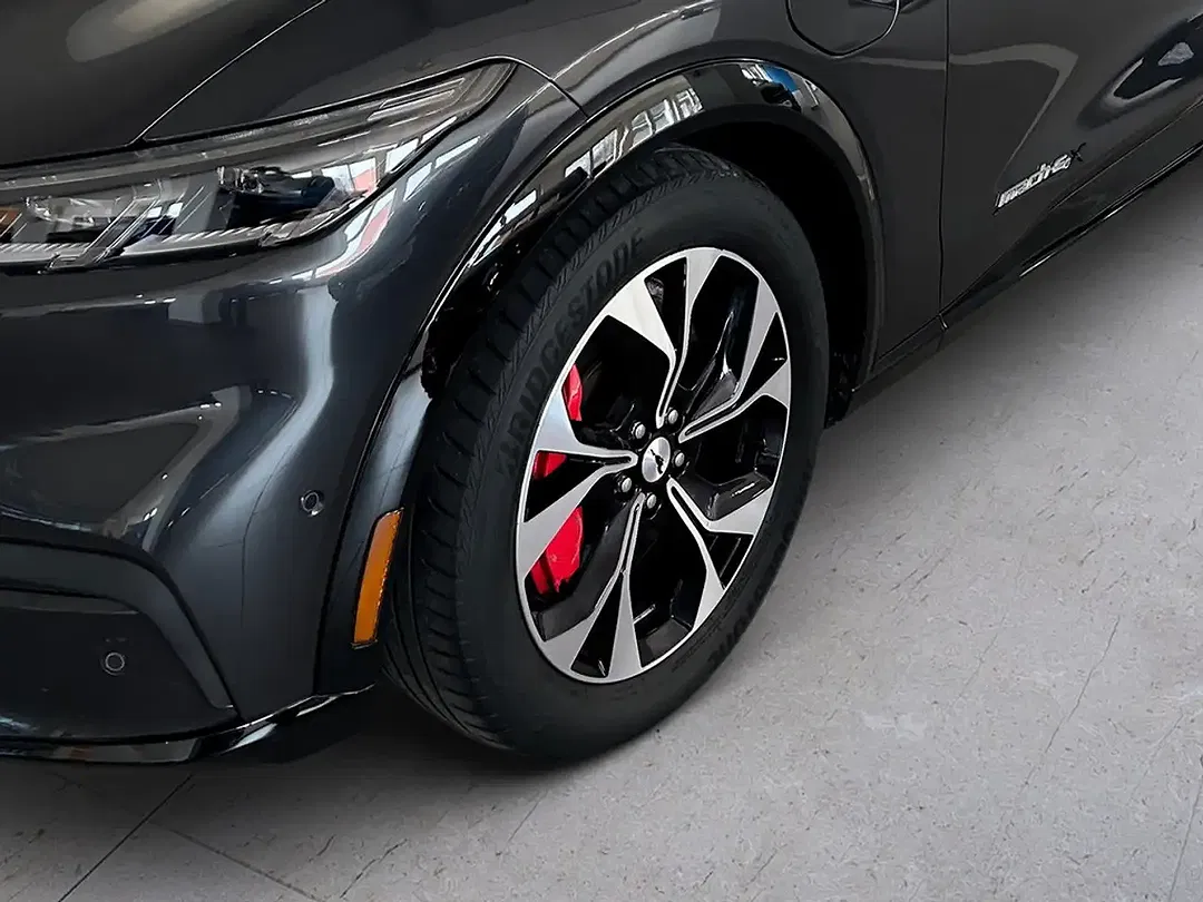 Ford Mustang Extended Range 4x4 - Thumbnail 7