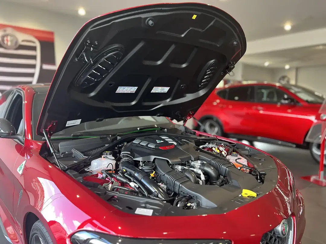 Alfa Romeo Giulia Quadrifoglio Collezione - foto 15