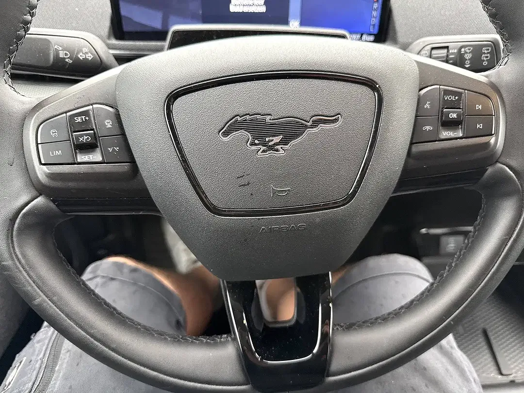 Ford Mustang Mach-E - Thumbnail 8