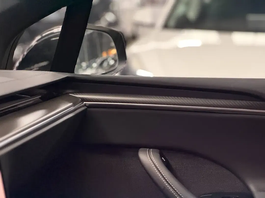 Tesla Model X Plaid - Thumbnail 11