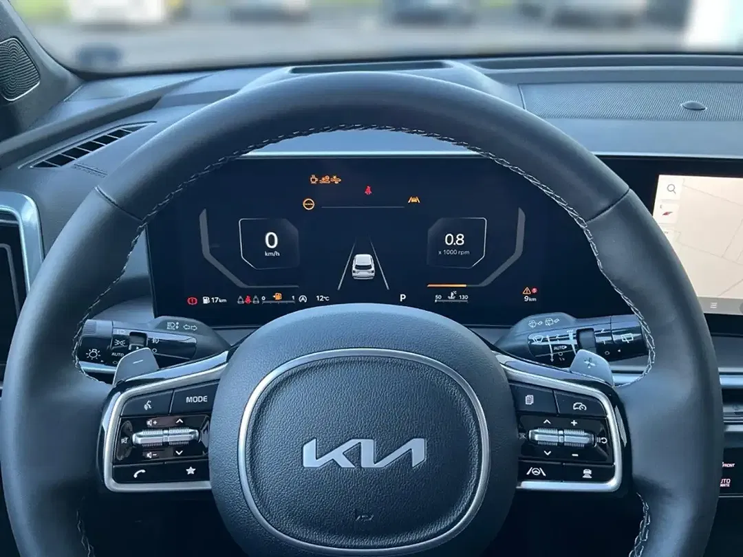 Kia Sorento 2.2 AWD Platinum - Thumbnail 8