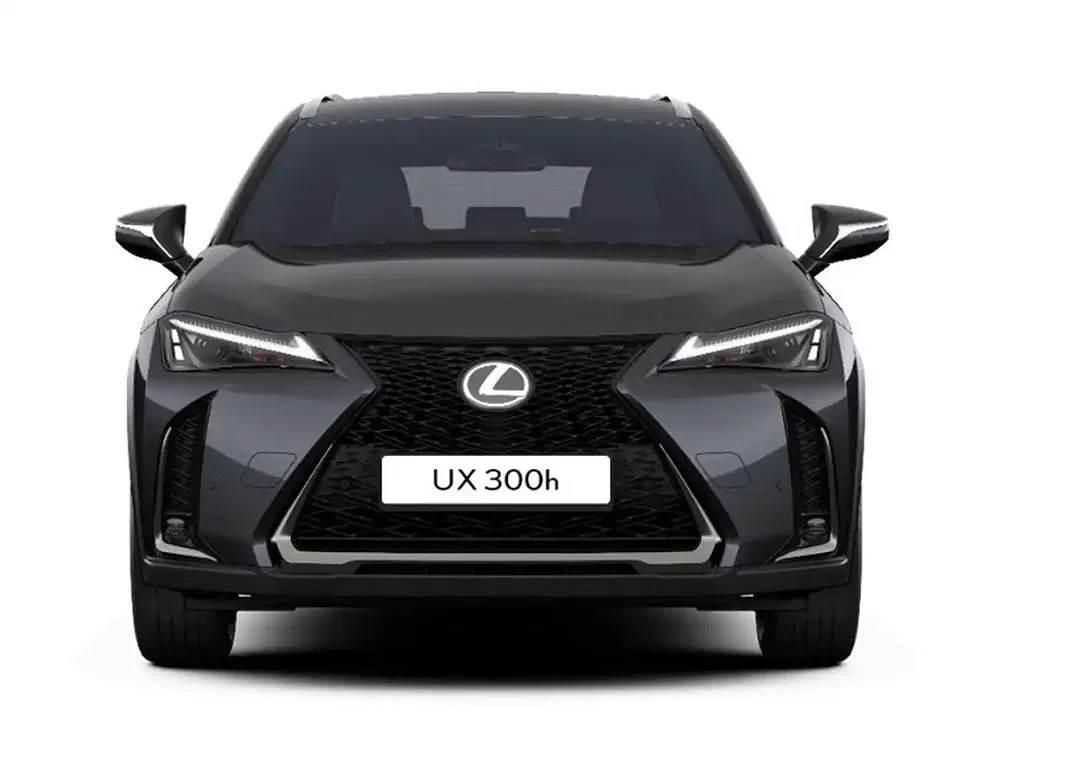 Lexus UX 300h F SPORT Design - foto 2