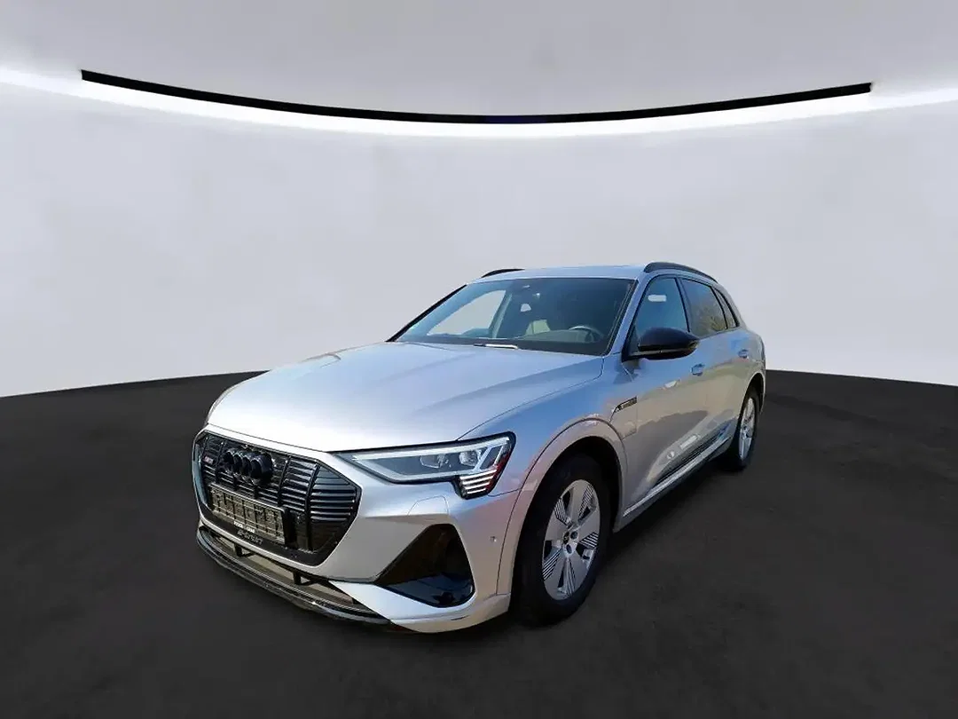 Audi e-tron 55 Matrix LED S line - Afbeelding 1