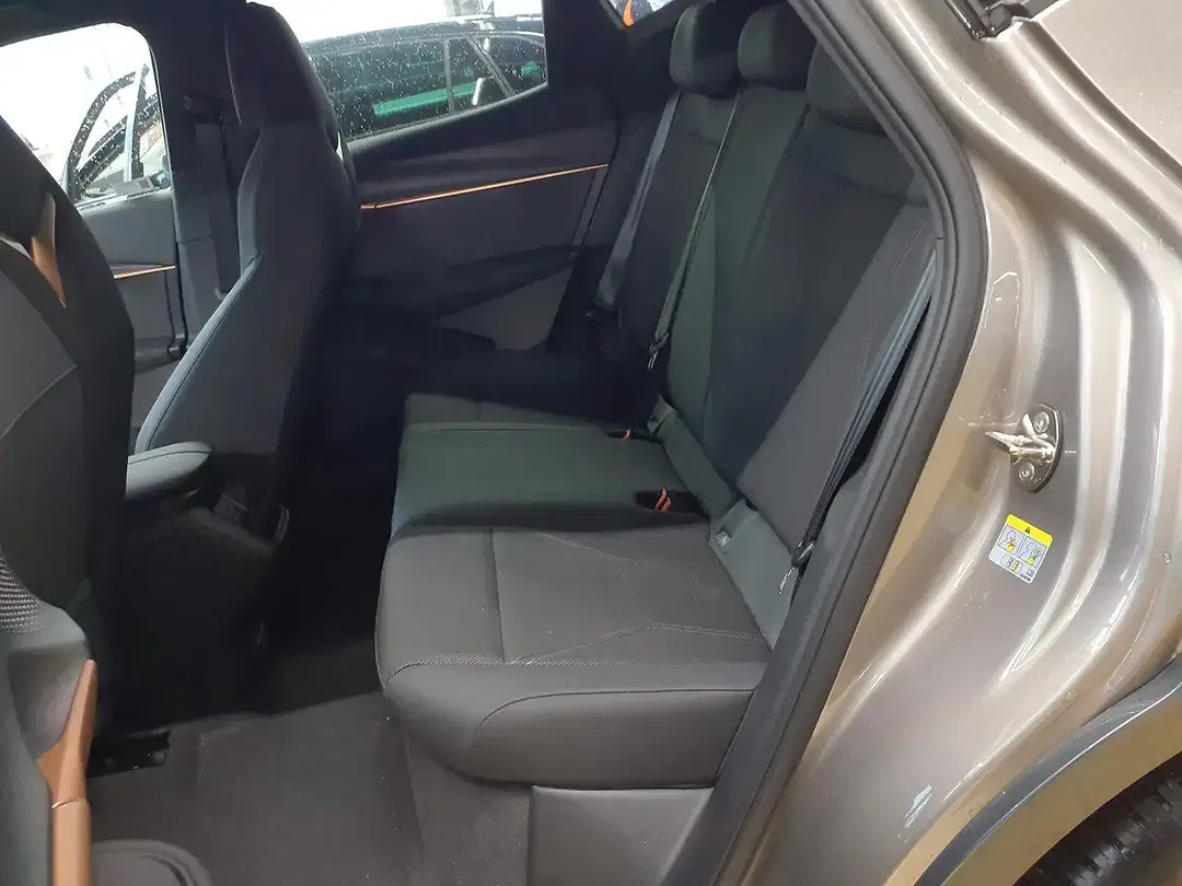 CUPRA Tavascan Endurance - Thumbnail 5