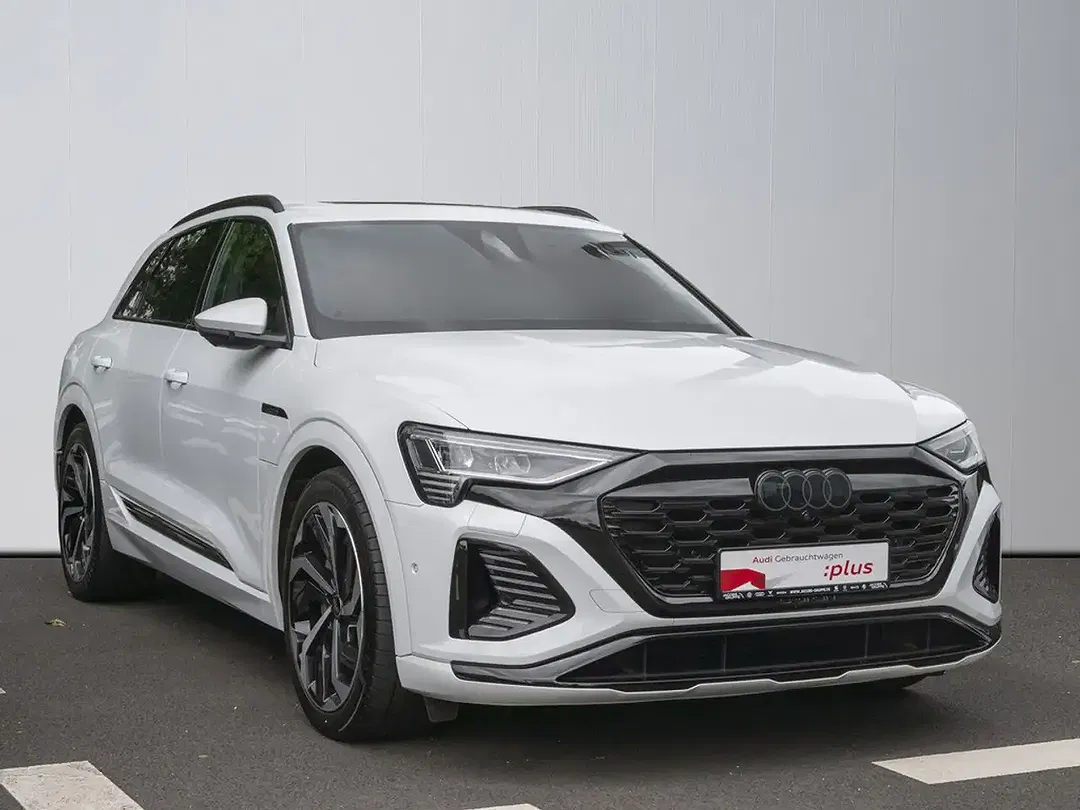 Audi Q8 e-tron 55 quattro Matrix LED S line - foto 1